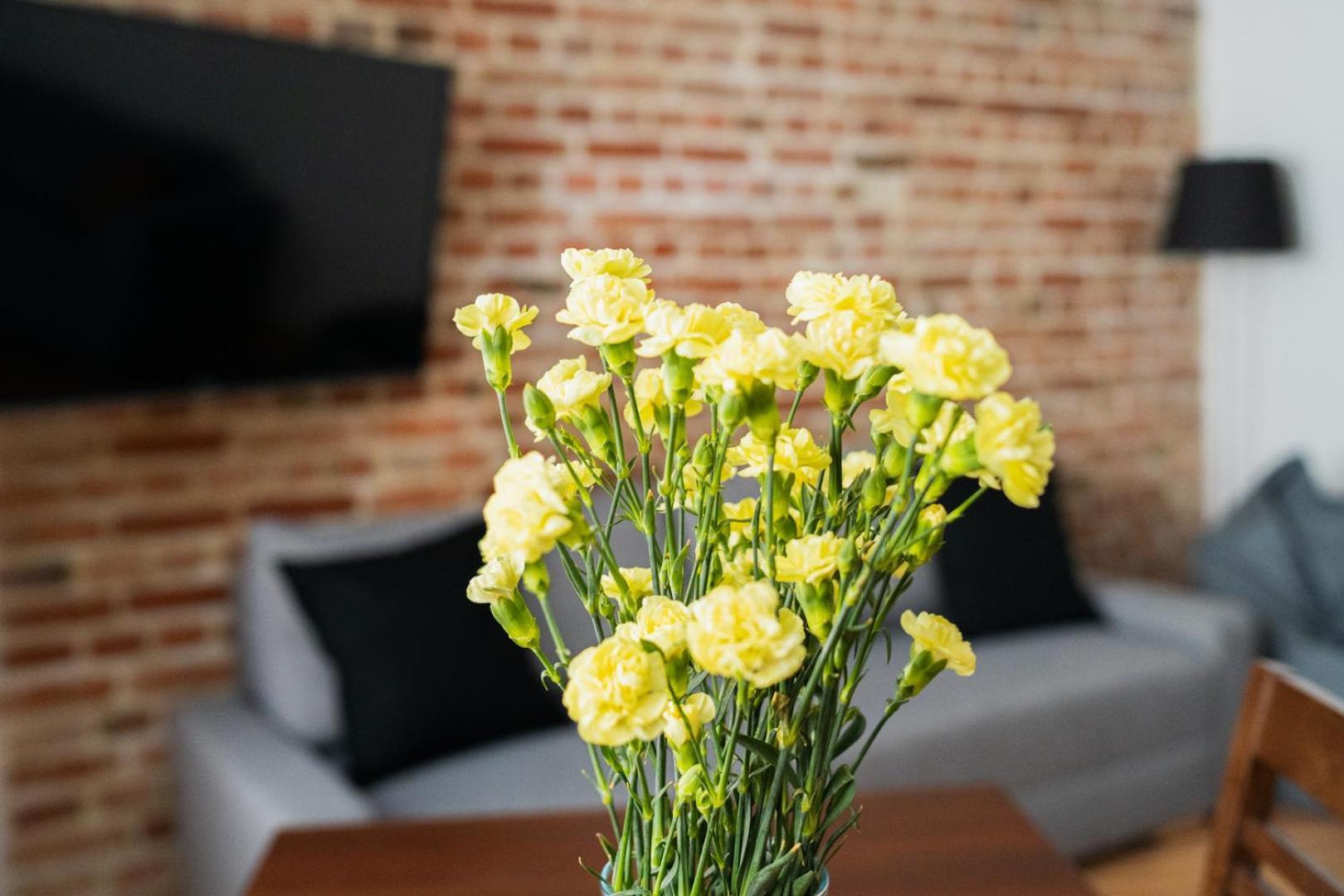 Big Apart - Nice Design - 3 Rooms - Wroclaw City Centre Esterno foto